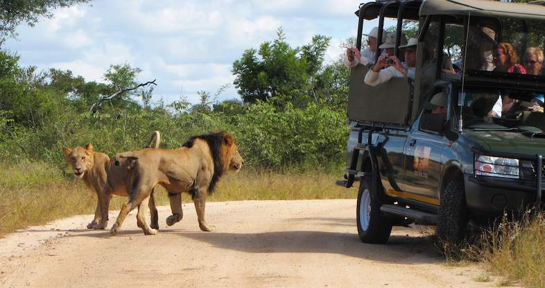 Essenza South Africa New Year